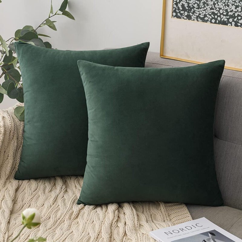 Velvet Cushion Covers